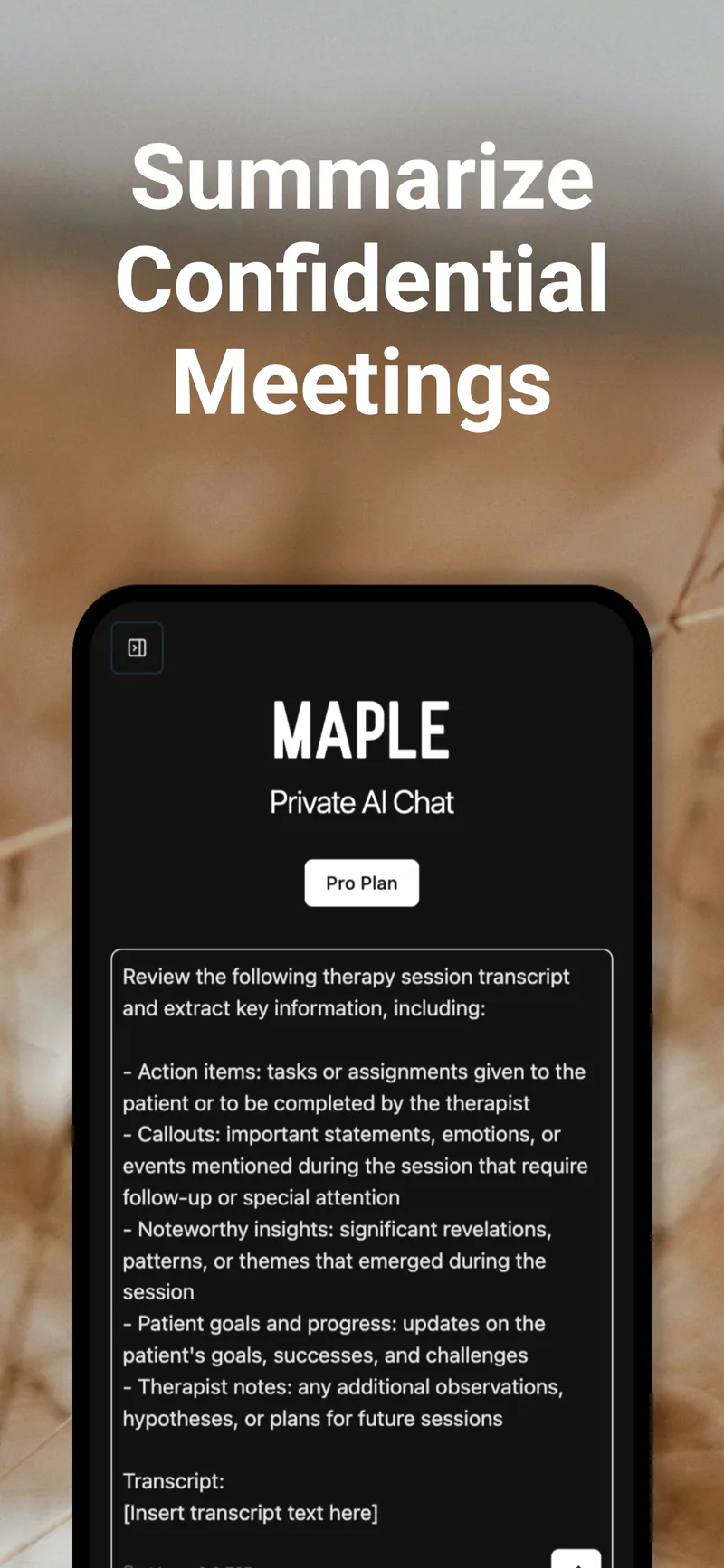 Introducing Maple AI for iPhone and iPad: Your Most Personal AI Assistant On-the-Go