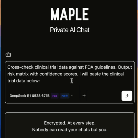 Maple AI Model Guide With Example Prompts